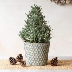 Lavender Tree In Honeycomb Metal Cachepot