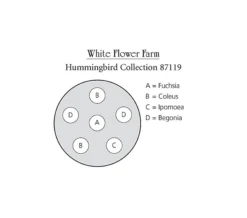 Hummingbird Annual Collection