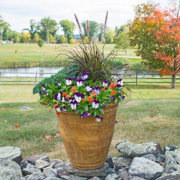 Fall Color Annual Collection - Image 2