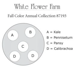 Fall Color Annual Collection