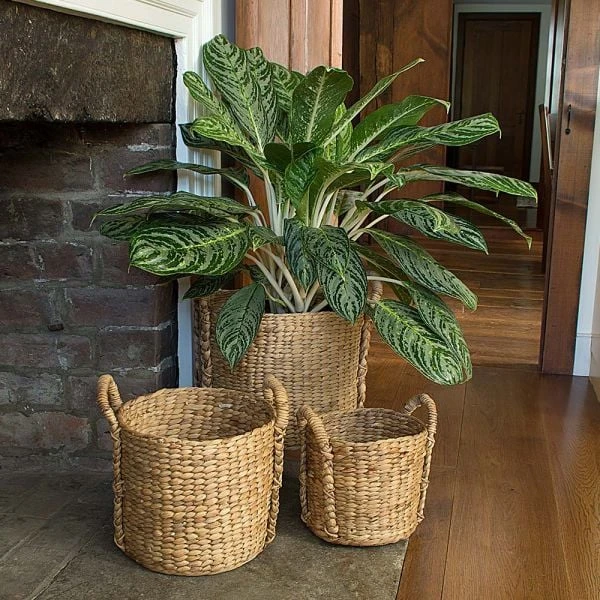 Water Hyacinth Basket, Large - Image 2