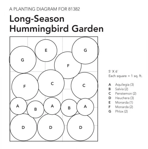 Long-Season Hummingbird Garden - Image 8