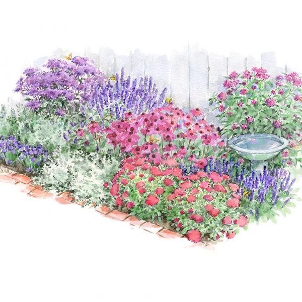 Pollinator Bulb & Perennial Garden - Image 14