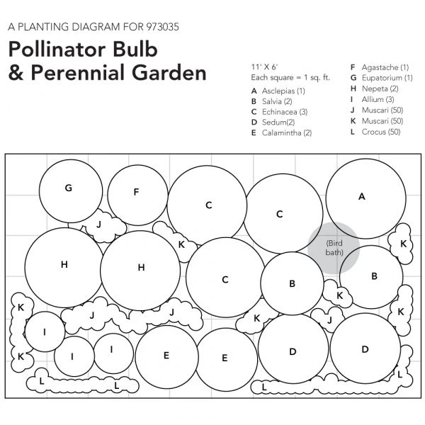 Pollinator Bulb & Perennial Garden - Image 13