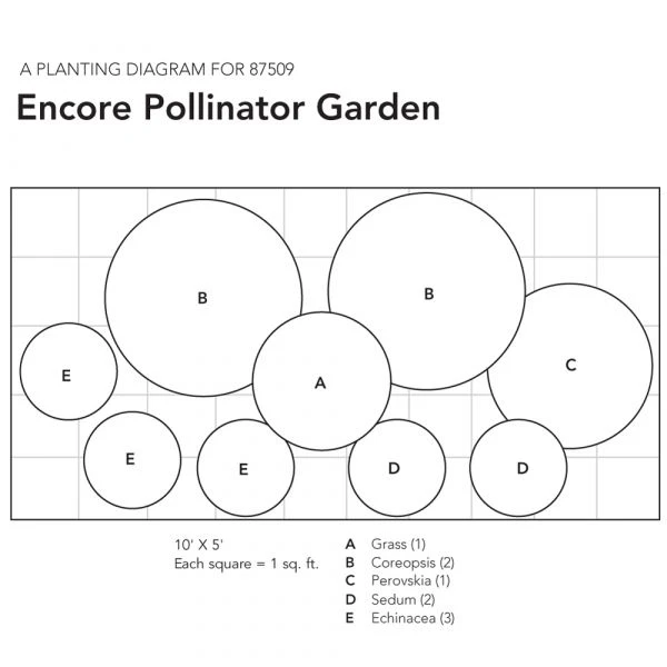 Encore Pollinator Garden - Image 6
