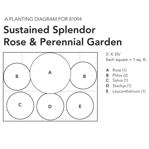Sustained Splendor Rose & Perennial Garden - Image 7