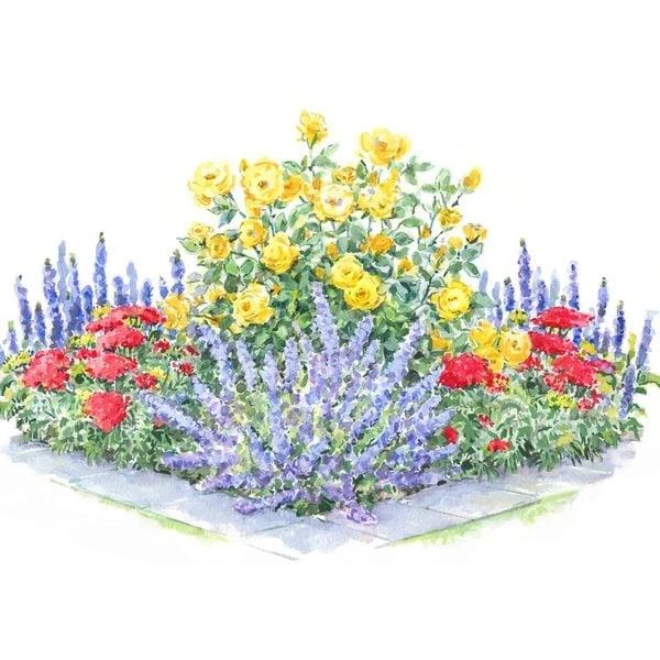 Perfumed Pageant Rose & Perennial Garden - Image 6