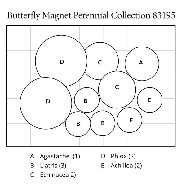 Butterfly Magnet Perennial Collection - Image 7