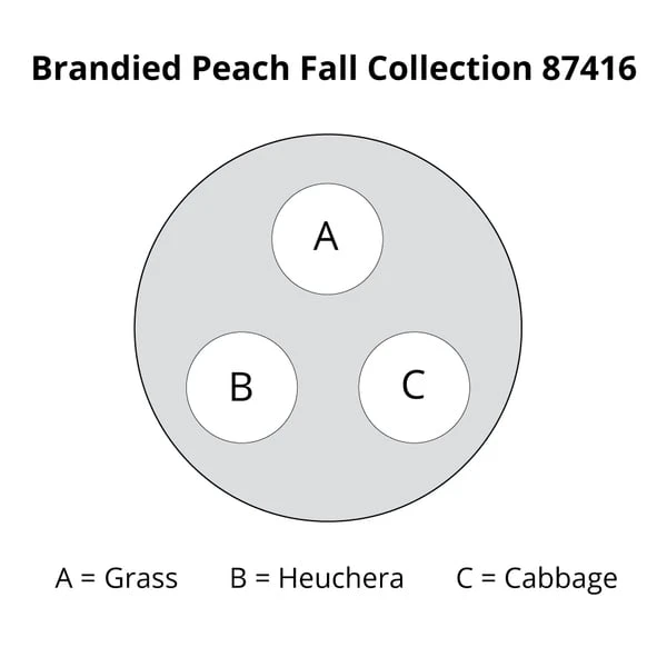 Brandied Peach Fall Collection - Image 2