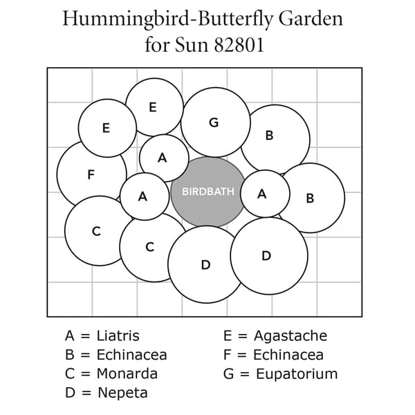 Hummingbird-Butterfly Garden For Sun - Image 9
