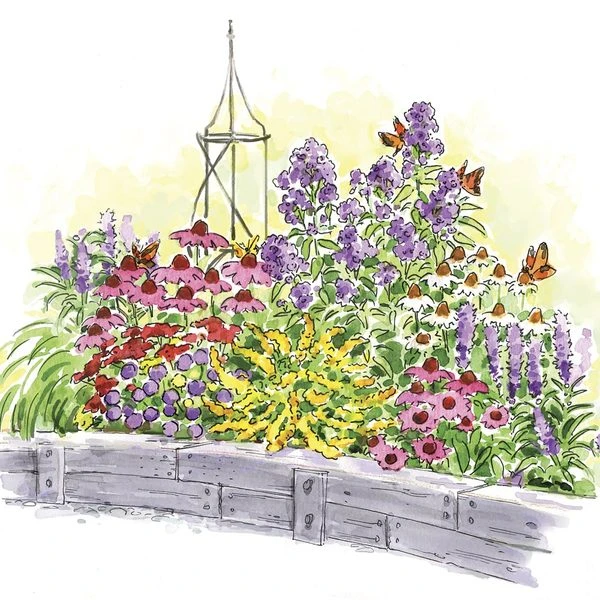 Start A Garden For Butterflies