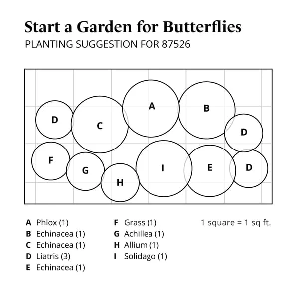 Start A Garden For Butterflies - Image 12