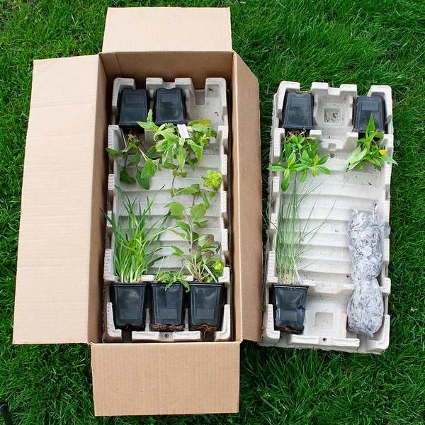 Start A Garden For Butterflies - Image 11